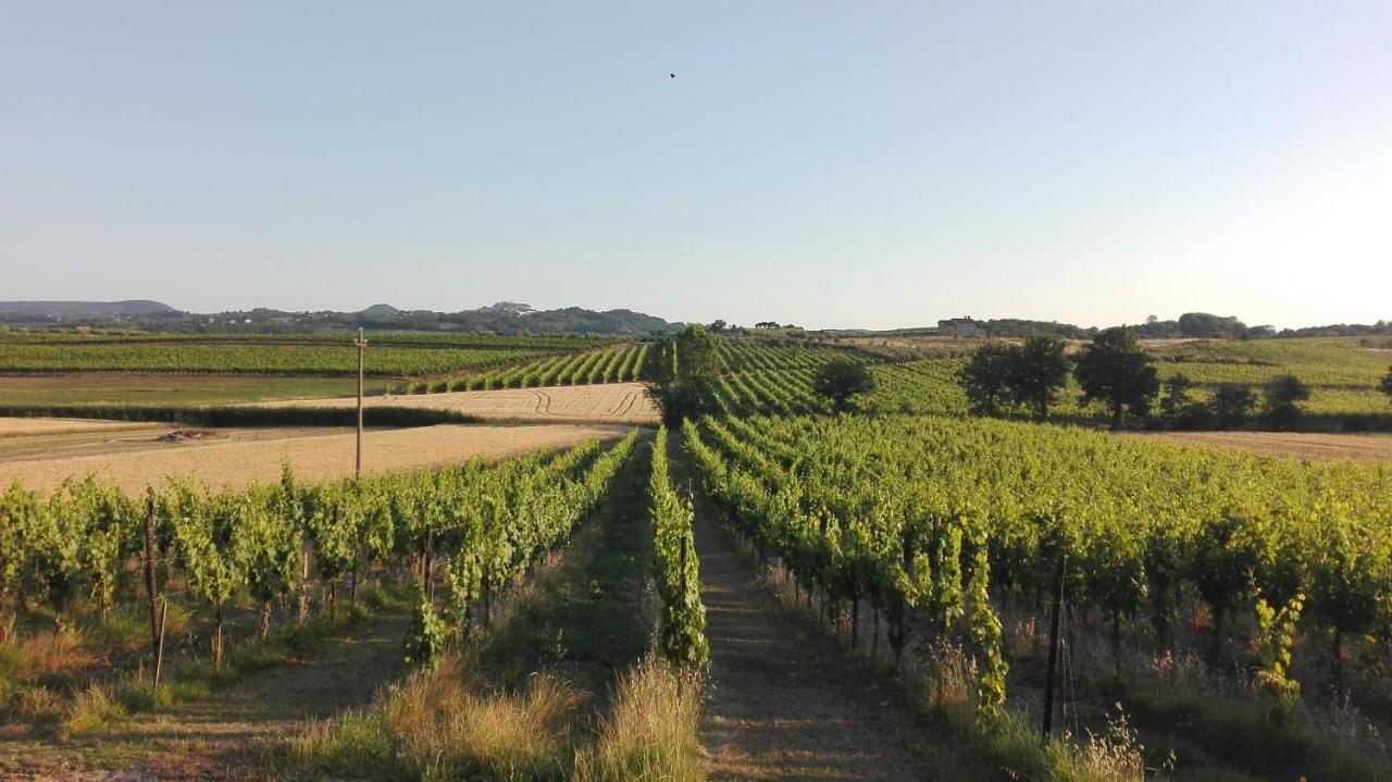 Agriturismo La Chiesina Abbadia di Montepulciano Εξωτερικό φωτογραφία